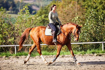 Horse woman rider riding in the sunshine at the riding arena.