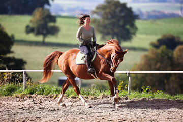 Horse woman rider riding in the sunshine at the riding arena.