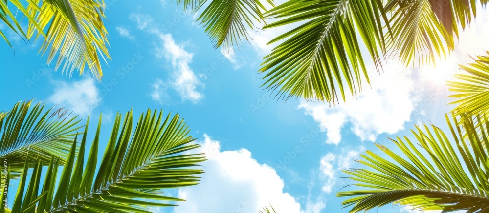 Canvas Prints Tropical palm leaves and vibrant blue sky scenic background for relaxing summer vacations and nature wallpapers