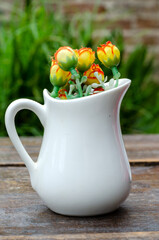 Artistic Composition Valentine&acute;s Day