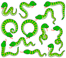 色んなポーズのしましま蛇のイラスト【カラー・セット】