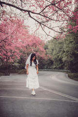 Fototapeta premium sakura flower and landscape