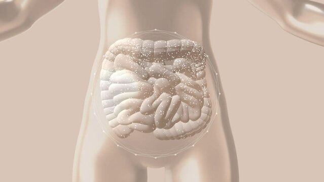 Motion_colorectal