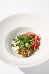 Artful salad with tomatoes, stracciatella cheese, and eggplants garnished with cilantro on a modern white bowl