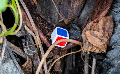 Close up of a colorful kids toy playing dice cube with blue, red and white lost in the undergrowth...