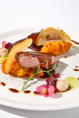 Duck fillet with onion marmalade and pumpkin puree, presented on a chic white plate for an upscale culinary experience