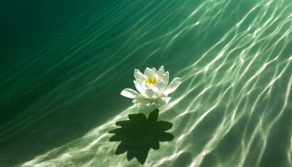 美しき心の持ち様