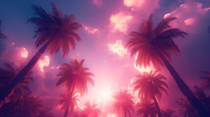Fototapeta na wymiar palm trees from bellow at surreal magenta, purple sunset, look to the sky