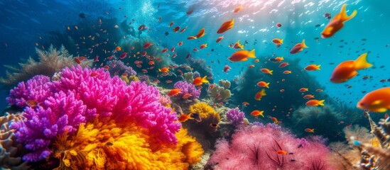 Fototapeta na wymiar Vibrant and Colorful Coral Reef Teeming with Diverse Marine Fish Species