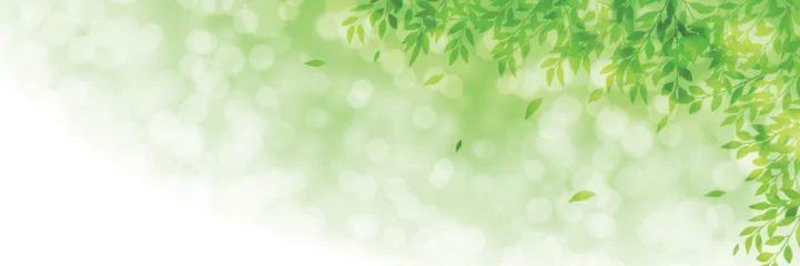 Deurstickers 新緑　葉　風景　背景 © KUU