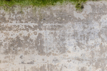 Green moss and rain stains on cement wall