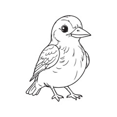 Black lines of Cute Bird white background