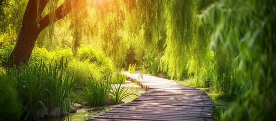 Scenic wooden walkway leading to tranquil pond with beautiful weeping tree - Powered by Adobe