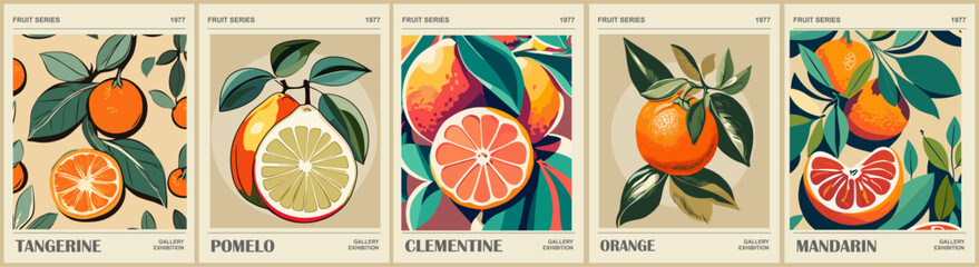 Set of abstract Fruit Market retro posters. Trendy kitchen gallery wall art with citrus fruits - orange, pomelo, mandarin, tangerine, clementine. Modern groovy interior paintings. Vector illustration. - obrazy, fototapety, plakaty