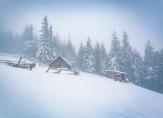 Old wooden hut in the snowy forest. Misty winter view of mountain glade. Calm winter scene of Carpathian Mountains with fir tree woodland. Beauty of countryside concept background..