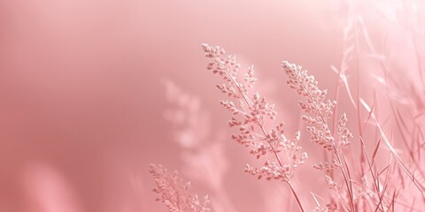 Pink pastel background with florals, delicate hues caressing the senses like a gentle breeze, soothing and tranquil.