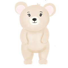 teddy bear isolated on white