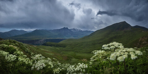 Fototapeta na wymiar Caucasus mountains nature unveils its breathtaking beauty in every season. Vibrant wildflowers blooming in alpine meadows to majestic mountains towering against the azure sky