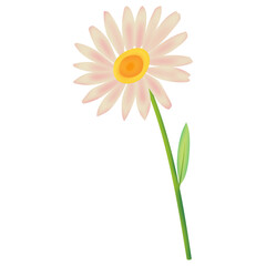 A daisy PNG transparent background in a hand-drawn gradient color spring floral concept, illustration