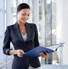 Administration, report or lawyer reading documents paperwork, case or project in law firm office....