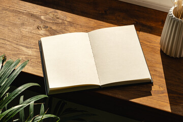 Books by the window on wooden windowsill in sunlight