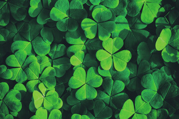 Background with green clover leaves for Saint Patrick's day. Abstract pattern with a shamrock....