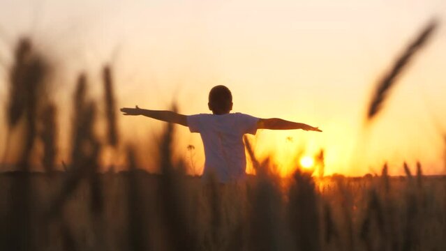 Overjoyed male teenager speed running on wheat field picturesque sunset sunrise bright sun light sky back view. Teen boy movement with raised hands enjoy freedom happy childhood at countryside meadow