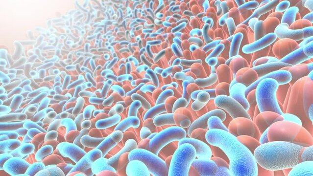 3D_Motion_lactobacillus.23