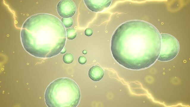 3D_Motion_lactobacillus.22