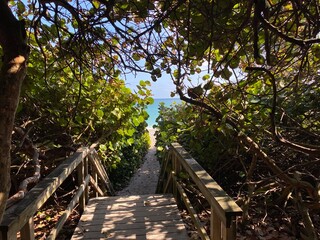 Beach path