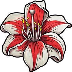 Amarylis flower clipart design illustration - obrazy, fototapety, plakaty