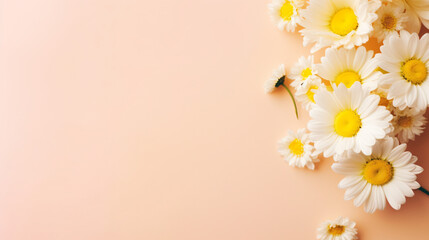 Naklejka na ściany i meble Spring flowers