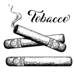 Cigar vintage vector sketch illustration 