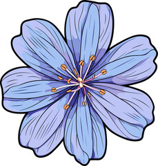 Blue eyed grass flower clipart design illustration