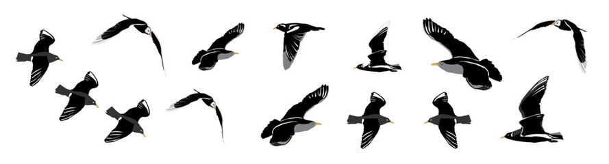 A Flock of Flying Birds. Vector
