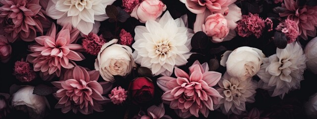 A stunning photo featuring a bunch of pink and white flowers against a black background.