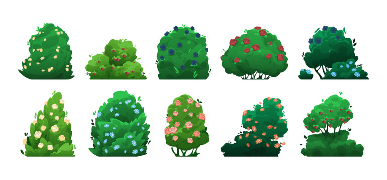 Shrubbery with flowers. Cartoon bushes with blooming plants, garden topiary of deciduous bushes with blooming flowers, bush with berries. Vector isolated set