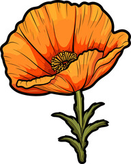 Poppy flower clipart design illustration