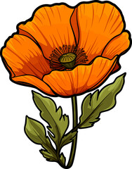 Poppy flower clipart design illustration