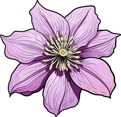 Clematis flower clipart design illustration