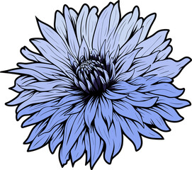 Cornflower clipart design illustration