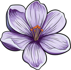 Crocus flower clipart design illustration