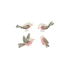 Watercolor bullfinch birds hand-painted isolated on a white background. Illustration for the winter design of postcards, packaging, textiles, office supplies. Winter, Snow, New Year, Christmas, forest