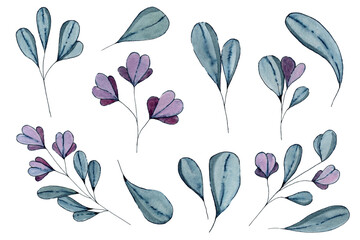 A simple botanical set of watercolor flowers and leaves. A set of wild flowers