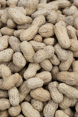 Peanuts in shells on the background of sack cloth.