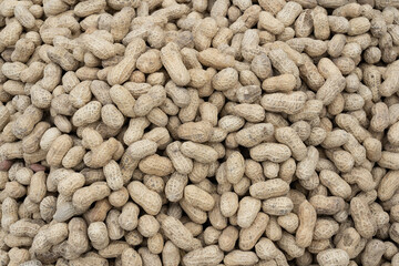 Peanuts in shells on the background of sack cloth.