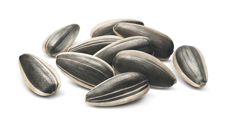 Scattered sunflower seeds in a pile isolated on white background