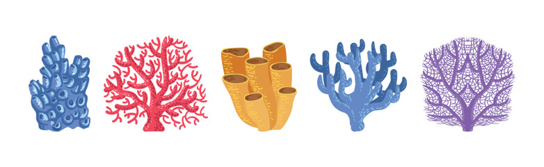 Colorful Reef Coral and Marine Hydranths Vector Set