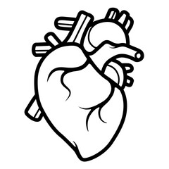 Human heart anatomy black and white vector illustration