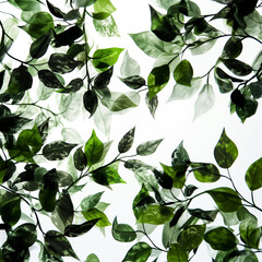 Tiles of Tranquility White Canvas with Green and Black Leafs